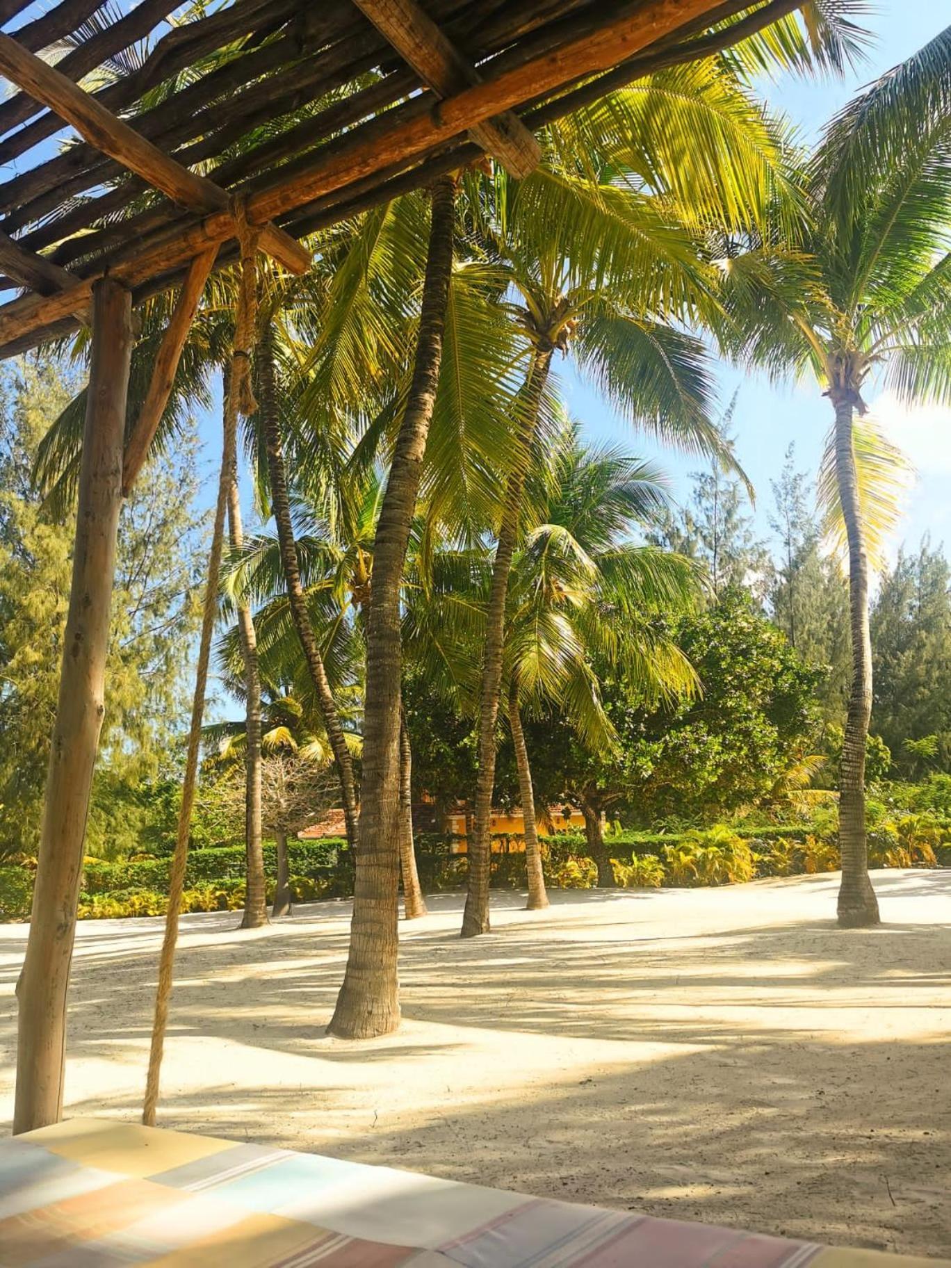 Kinondo Zumzum Beach House Bed & Breakfast エクステリア 写真