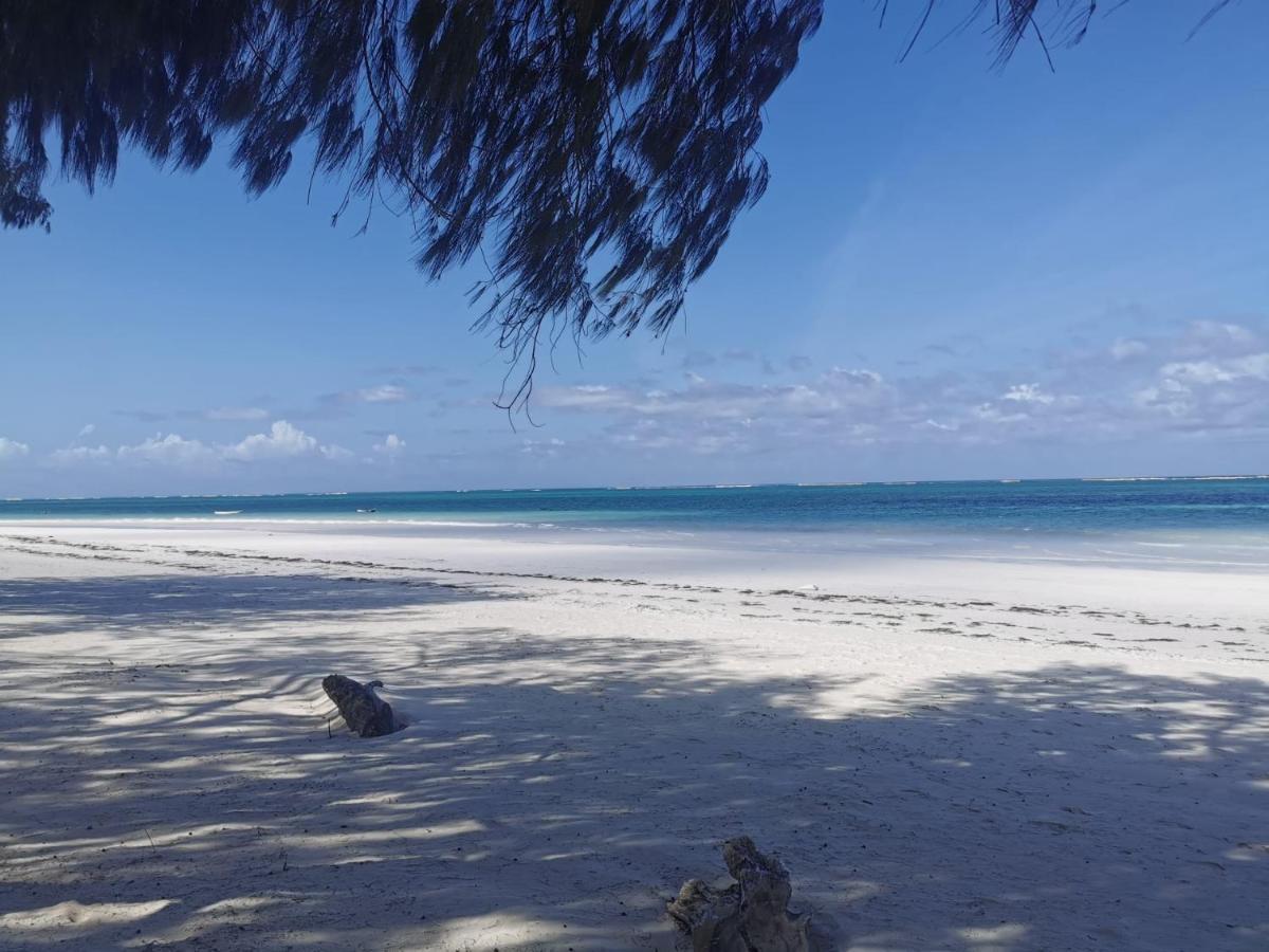 Kinondo Zumzum Beach House Bed & Breakfast エクステリア 写真